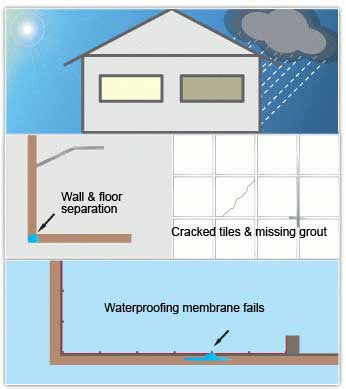 Why Does My Shower Seal Leak? - The Shower Repair